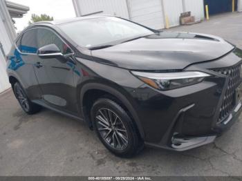  Salvage Lexus NX