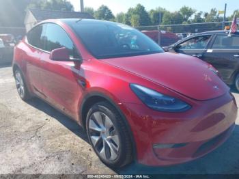  Salvage Tesla Model Y