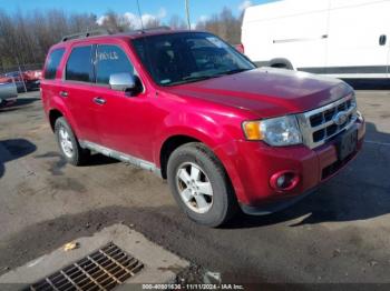  Salvage Ford Escape