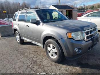  Salvage Ford Escape