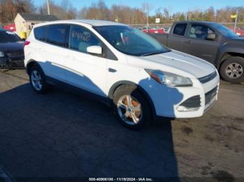  Salvage Ford Escape