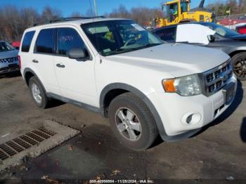  Salvage Ford Escape