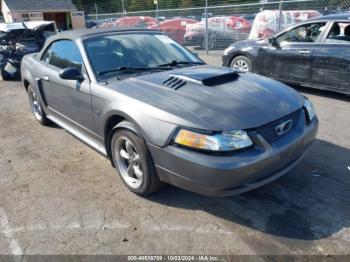  Salvage Ford Mustang