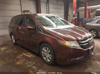  Salvage Honda Odyssey