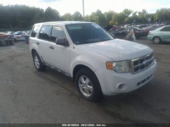  Salvage Ford Escape