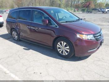  Salvage Honda Odyssey