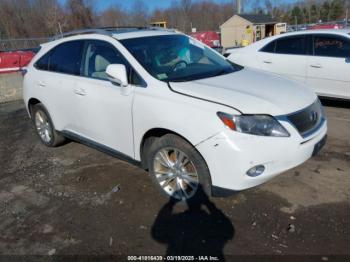  Salvage Lexus RX