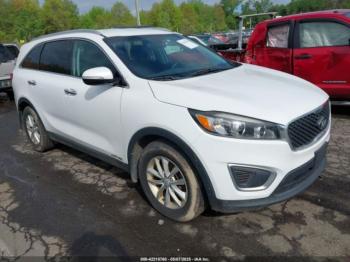  Salvage Kia Sorento