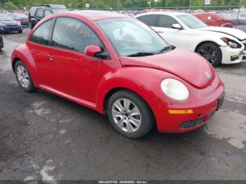  Salvage Volkswagen Beetle