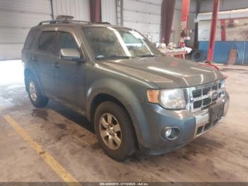  Salvage Ford Escape