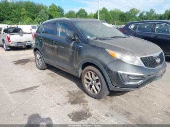  Salvage Kia Sportage