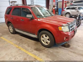  Salvage Ford Escape