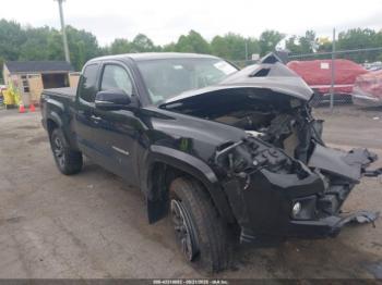  Salvage Toyota Tacoma
