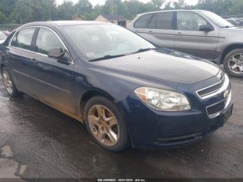  Salvage Chevrolet Malibu