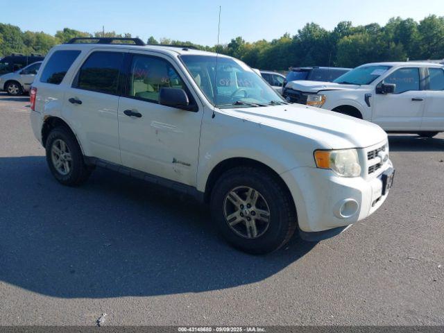  Salvage Ford Escape
