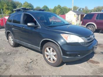  Salvage Honda CR-V