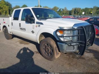  Salvage Ford F-250