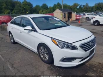  Salvage Hyundai SONATA