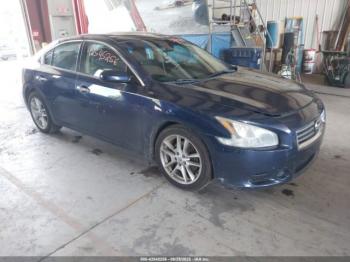  Salvage Nissan Maxima