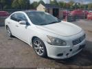 Nissan Maxima 3.5 Sv Image 1