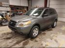 Hyundai SANTA FE Gls Image 9