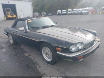  Salvage Jaguar Xjs