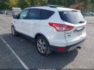 Ford Escape Sel Image 6