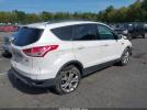 Ford Escape Sel Image 10