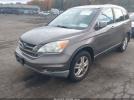 Honda CR-V Ex-l Image 2