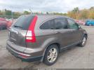 Honda CR-V Ex-l Image 3