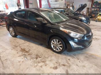  Salvage Hyundai ELANTRA