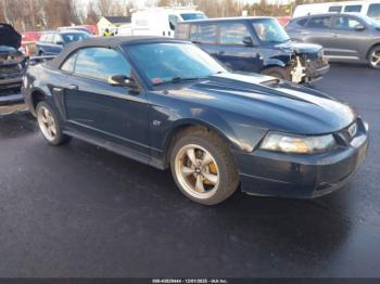  Salvage Ford Mustang