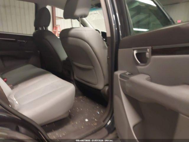 Hyundai SANTA FE Gls Image 10