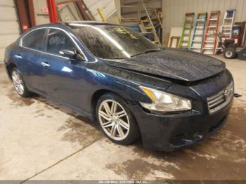  Salvage Nissan Maxima